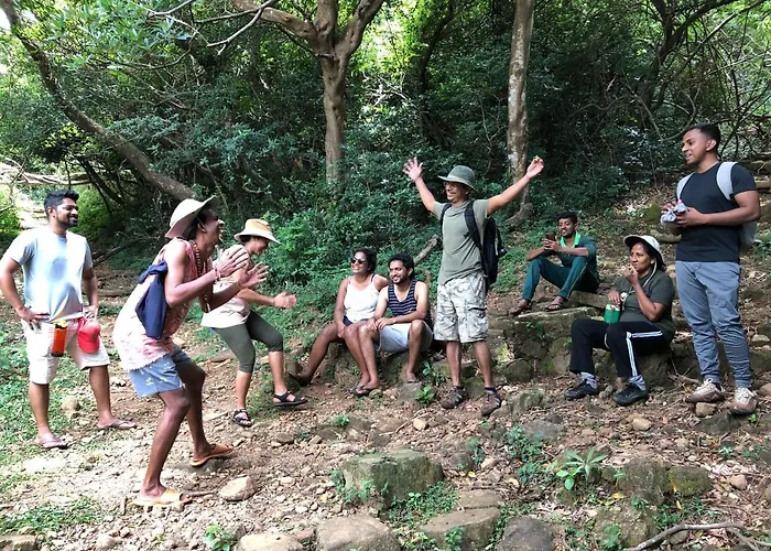 Genderless Jungle