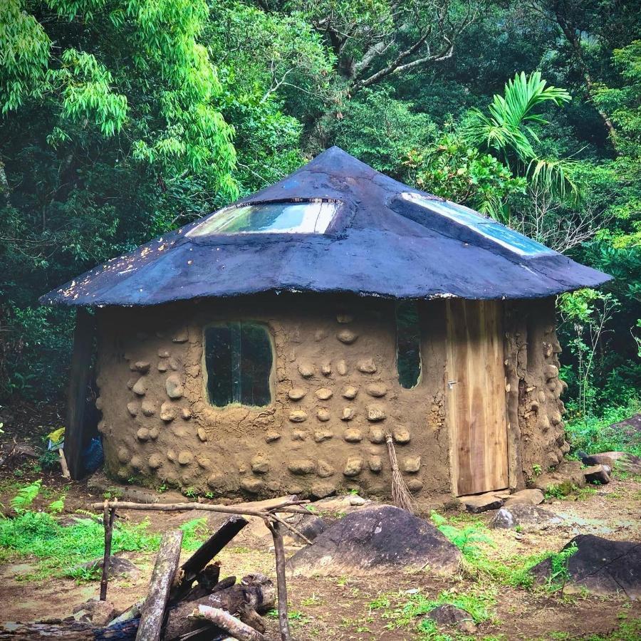 Genderless Jungle Lodge *