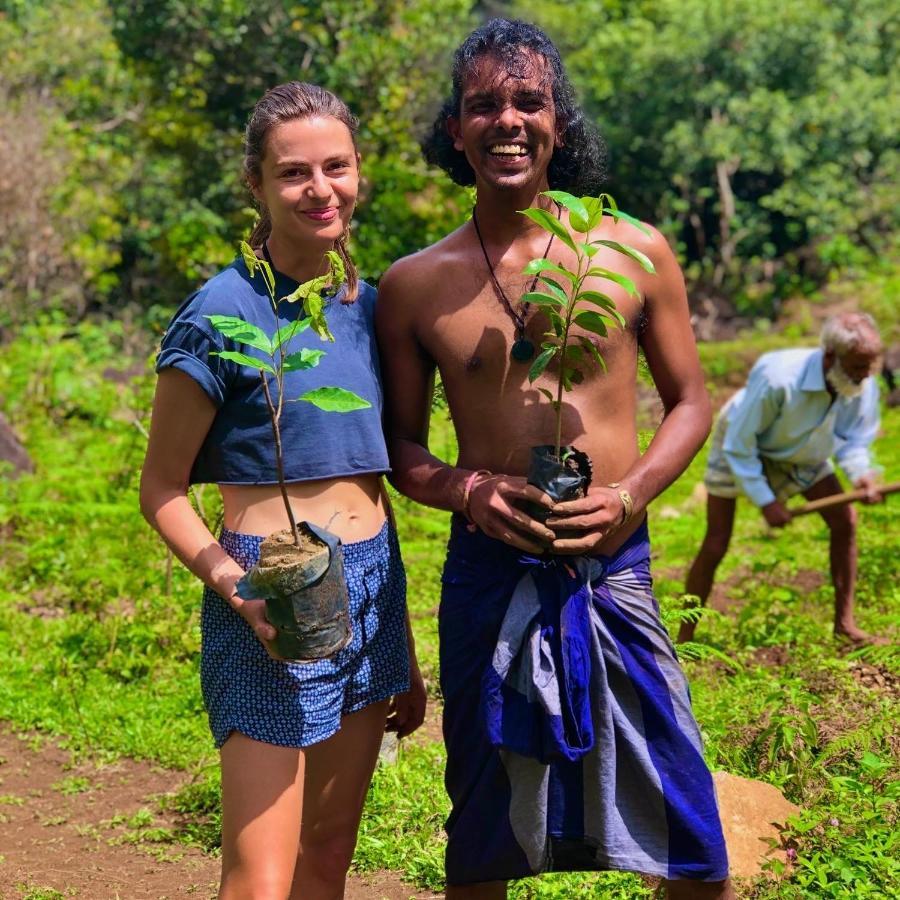 Genderless Jungle Lodge Matale
