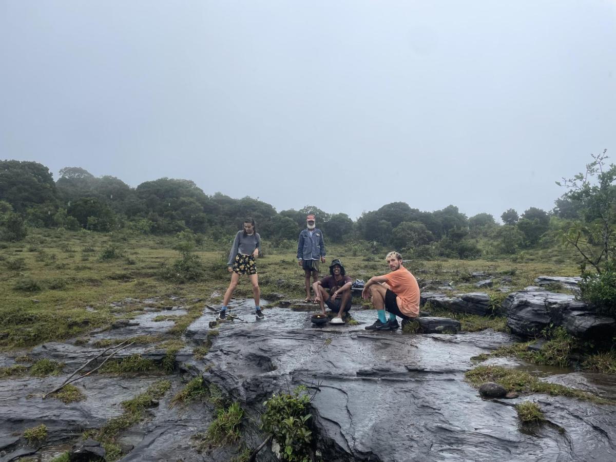 Genderless Jungle Matale