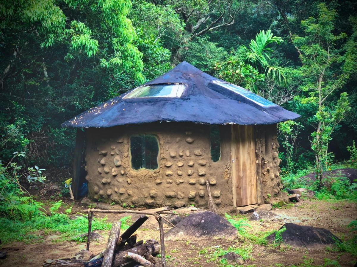 Genderless Jungle Lodge Matale