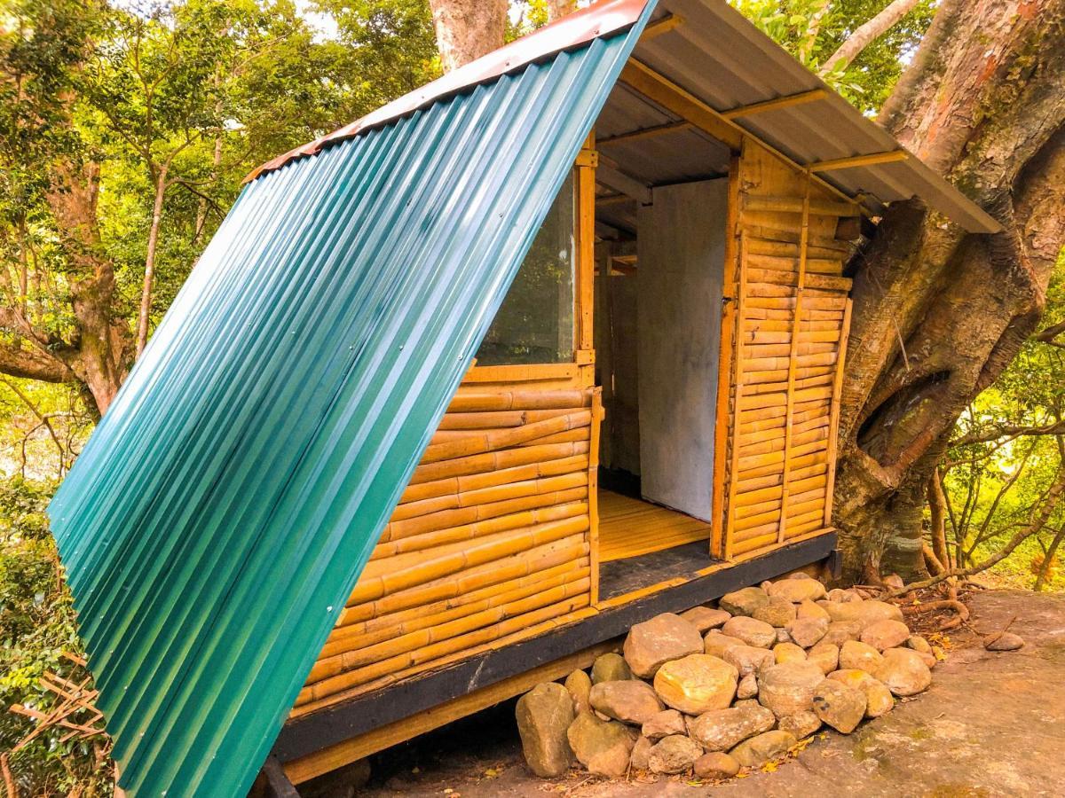 Lodge Genderless Jungle Matale