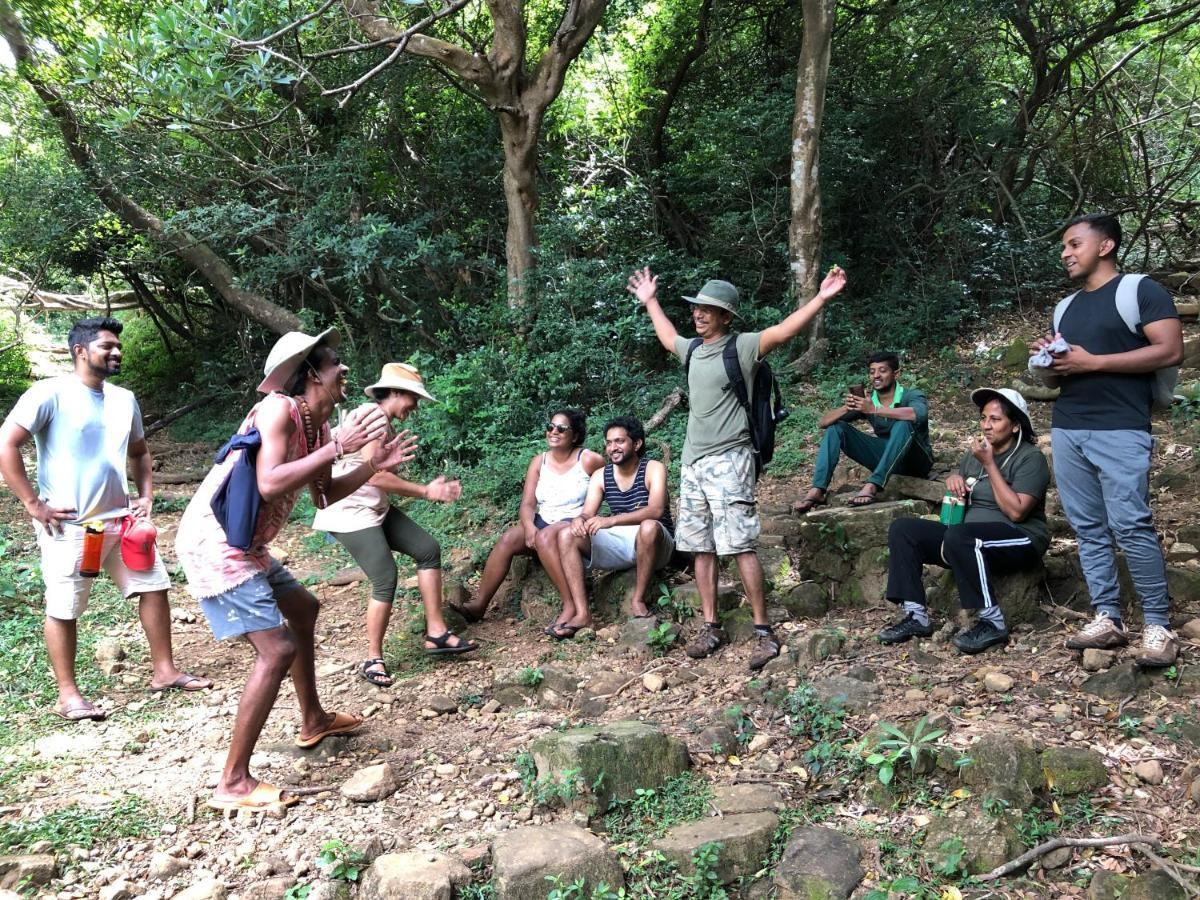 Lodge Genderless Jungle *