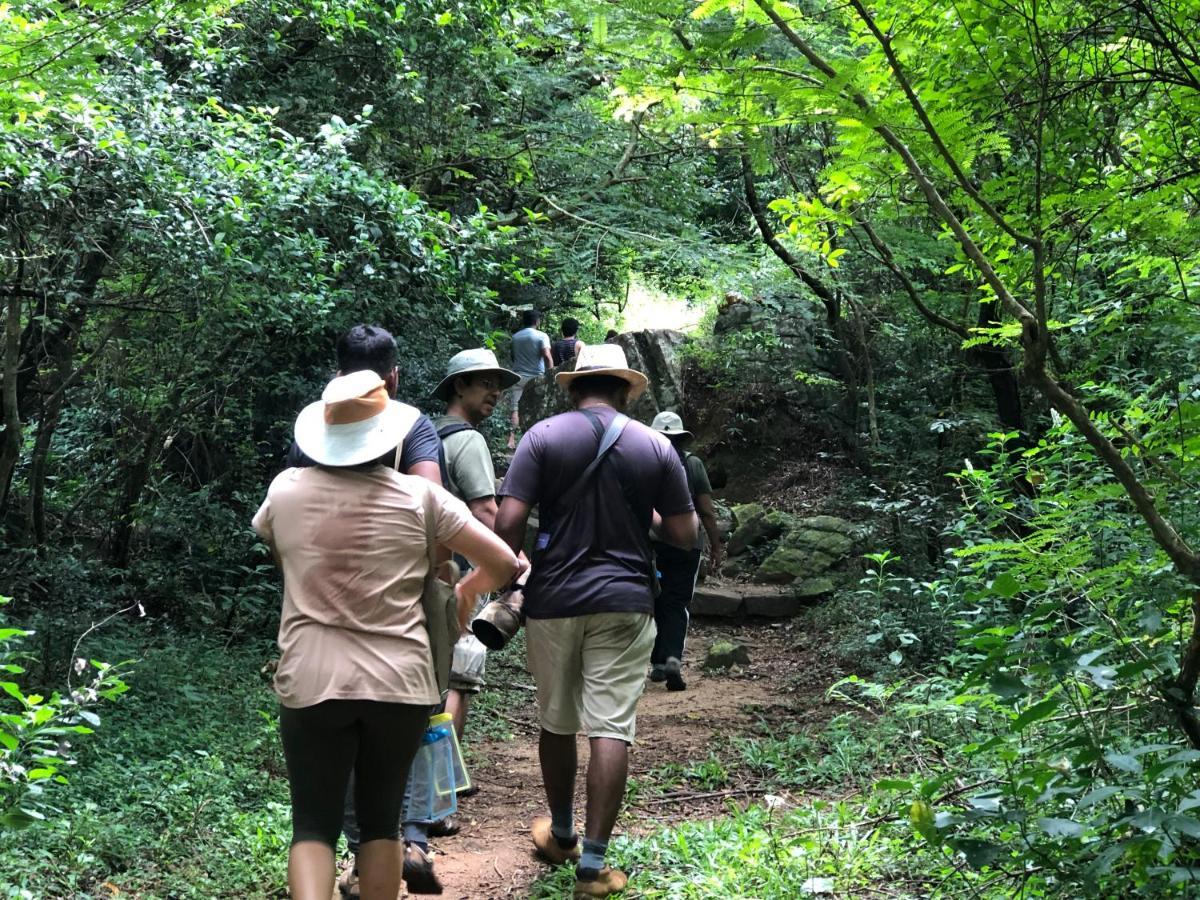 Lodge Genderless Jungle Matale