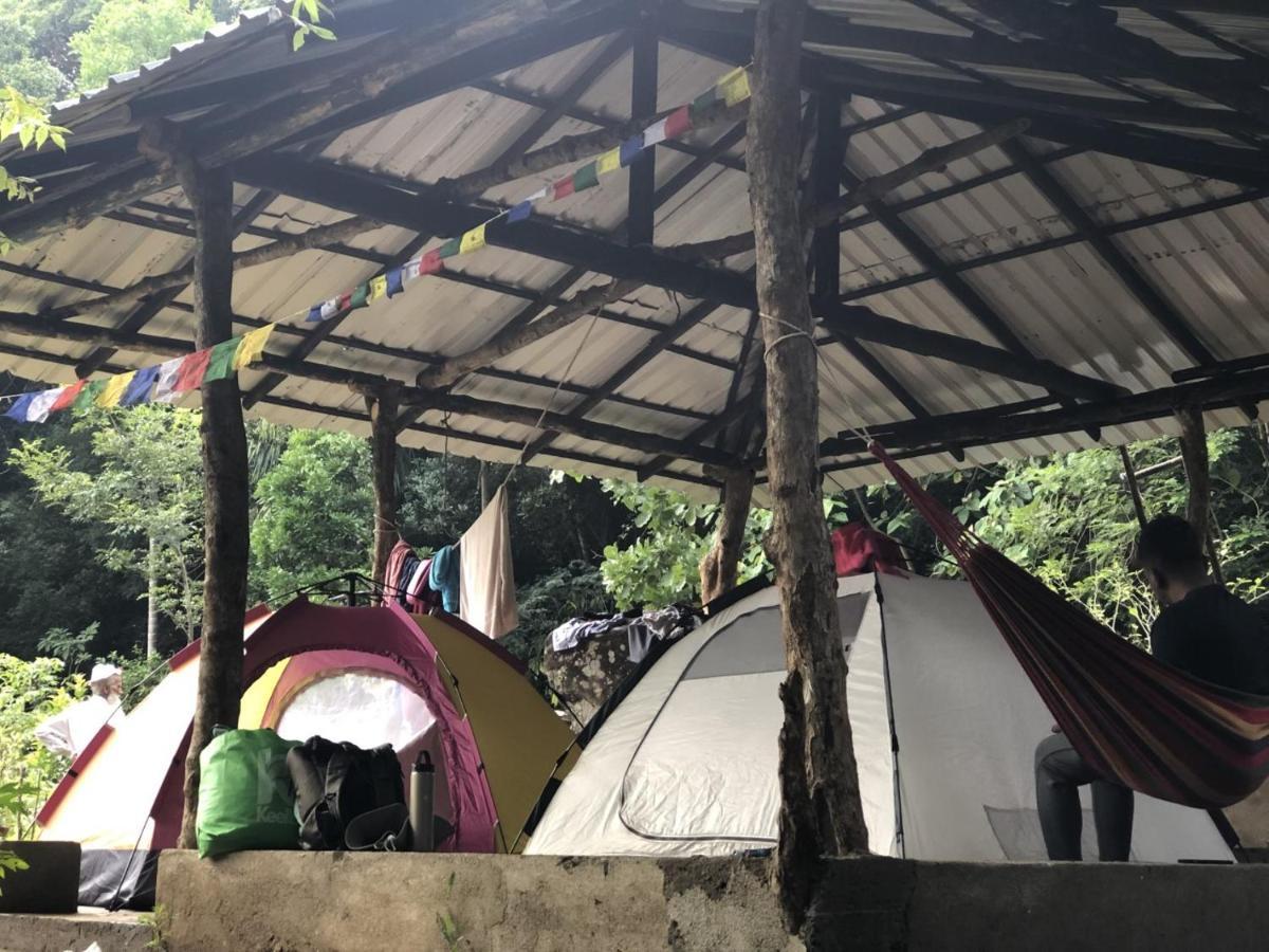 Genderless Jungle Lodge
